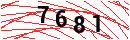 Security Verification