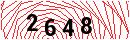 Security Verification