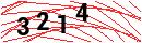 Security Verification