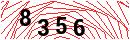 Security Verification