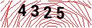 Security Verification