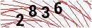 Security Verification
