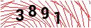 Security Verification
