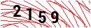 Security Verification