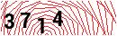 Security Verification
