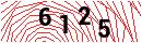 Security Verification