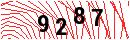 Security Verification