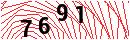 Security Verification