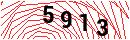 Security Verification