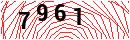 Security Verification
