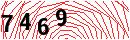 Security Verification