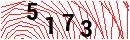 Security Verification