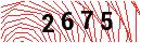 Security Verification