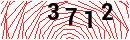 Security Verification