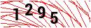 Security Verification