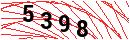 Security Verification