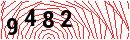Security Verification