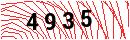 Security Verification