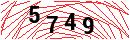 Security Verification
