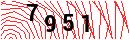 Security Verification
