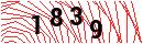 Security Verification