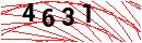 Security Verification