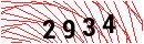 Security Verification
