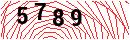 Security Verification