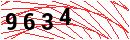 Security Verification