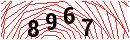 Security Verification