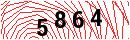 Security Verification
