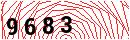 Security Verification