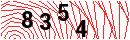 Security Verification