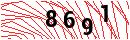 Security Verification