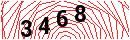 Security Verification