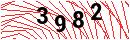 Security Verification