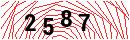 Security Verification