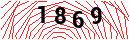 Security Verification
