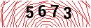 Security Verification