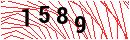 Security Verification
