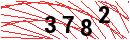 Security Verification