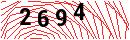 Security Verification