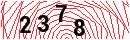 Security Verification