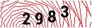 Security Verification
