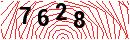 Security Verification