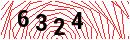 Security Verification