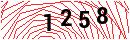 Security Verification