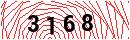 Security Verification