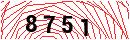 Security Verification