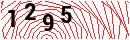 Security Verification
